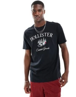Hollister Coastal Tech Embroidered Logo Relaxed Fit T-shirt In Black For Men