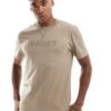 Hollister Logo Detail Relaxed T-shirt In Khaki For Men