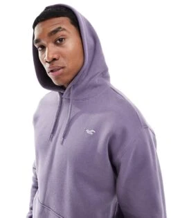 Hollister Relaxed Icon Hoodie In Purple For Men Sage